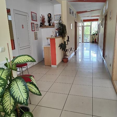 Pensiunea Eli Sibiu Exterior foto